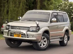 Toyota Land Cruiser Prado 3.0 D-4D 2002 Silver