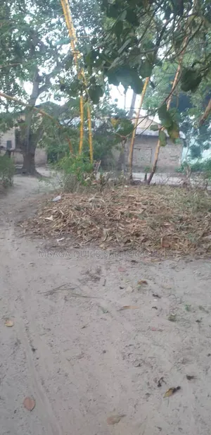 Farm for Sale at Mkuranga Mwanambaya 29 Acres