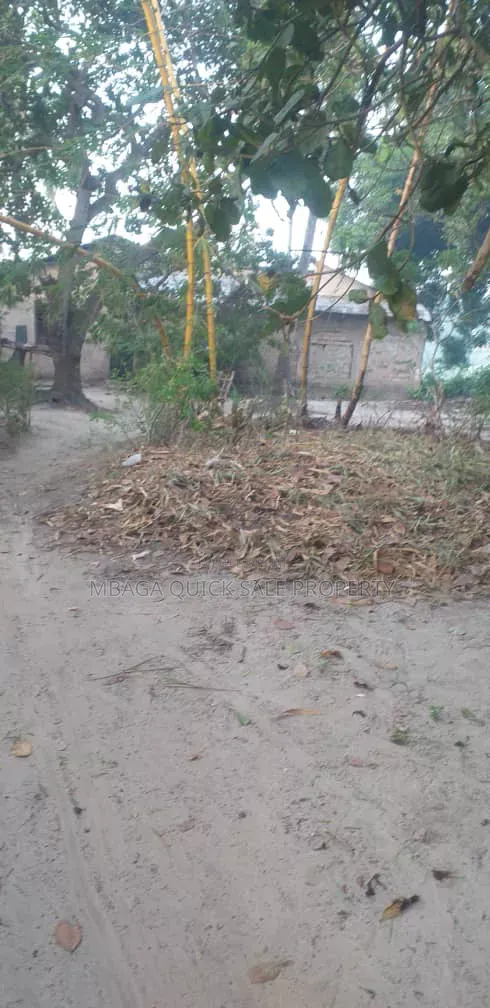 Farm for Sale at Mkuranga Mwanambaya 29 Acres