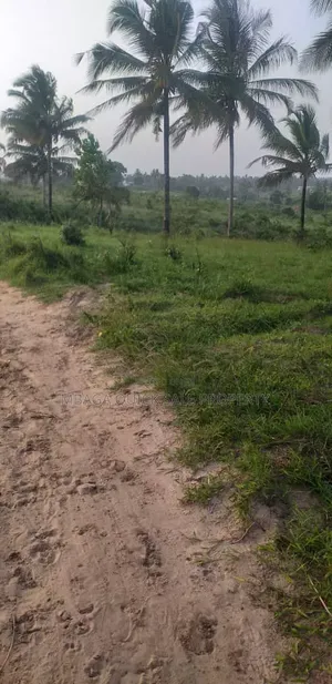 Farm for Sale at Mkuranga Mwanambaya 29 Acres