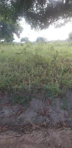 Farm for Sale at Mkuranga Mwanambaya 29 Acres