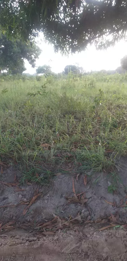 Farm for Sale at Mkuranga Mwanambaya 29 Acres