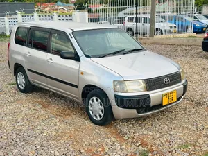 Toyota Probox 2004 Gray