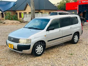 Toyota Probox 2004 Gray