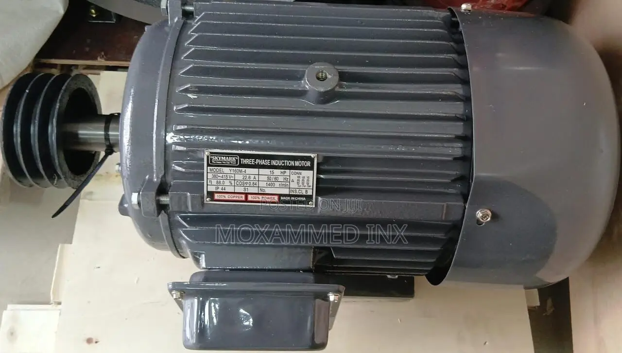 Skymark 3 Phase Induction Motor 30hp