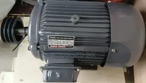 Skymark 3 Phase Induction Motor 30hp