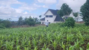 Plot Kali Inauzwa Moshono