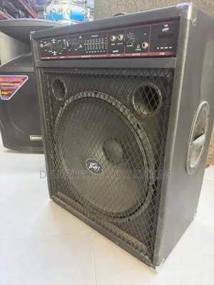 Combo Bass Speaker