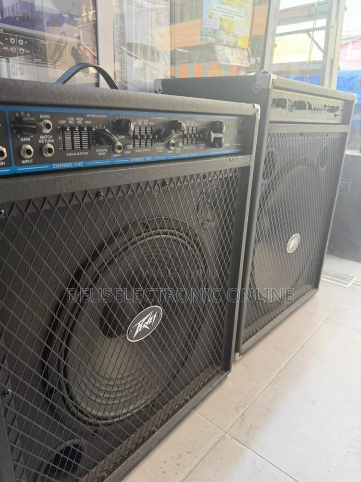 Combo Bass Speaker