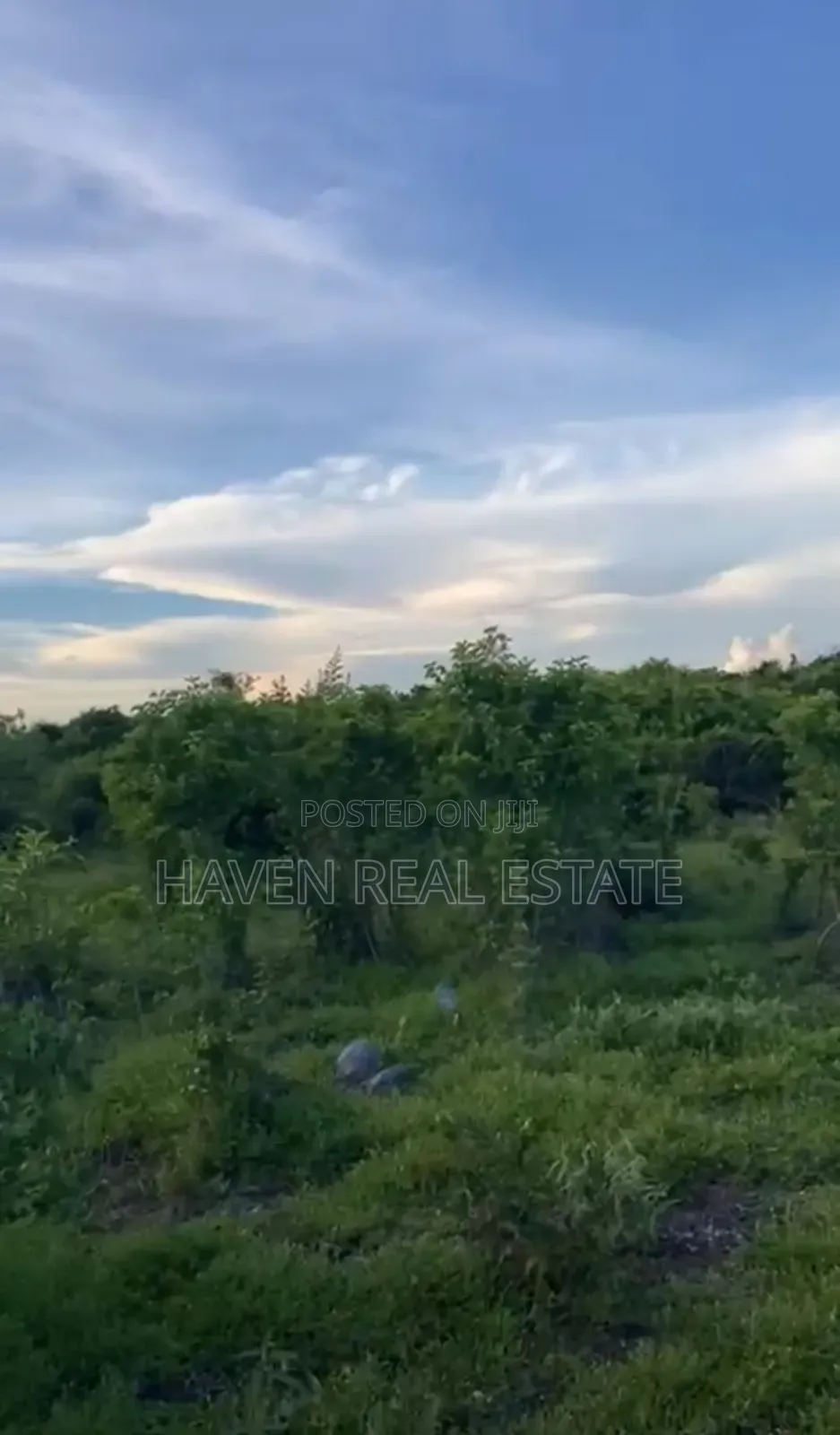 Plot for Sale at Jambiani Zanzibar