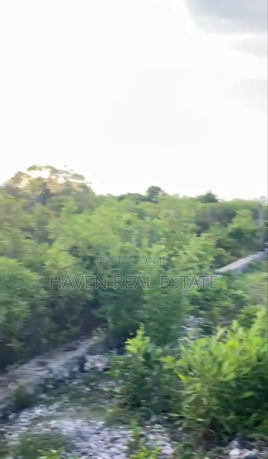 Plot for Sale at Jambiani Zanzibar