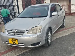 Toyota Allex 2002 Silver