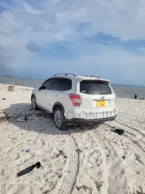Subaru Forester 2015 White