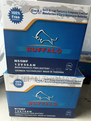 Betri Imara Kwa Safari Zote – Buffalo Battery