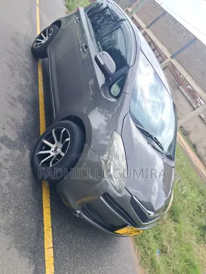 Toyota Ractis 2006 Gray