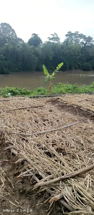 Farm for Sale at Kiwaangwa Bagamoyo