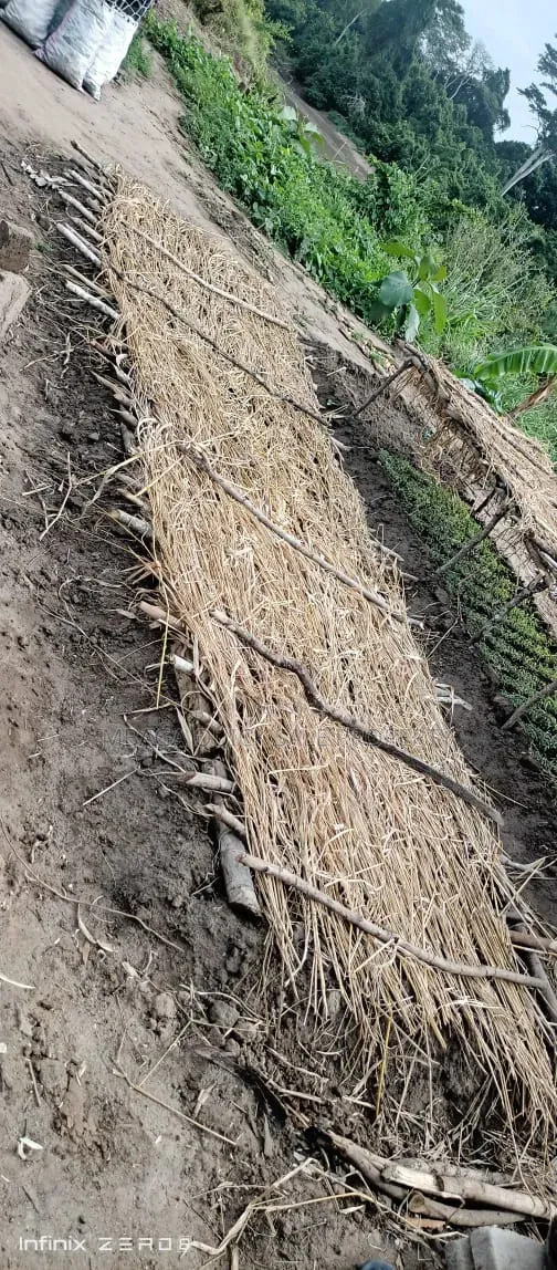 Farm for Sale at Kiwaangwa Bagamoyo