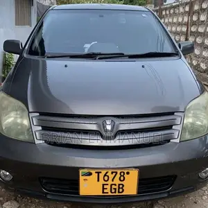 Toyota IST 2004 Gray
