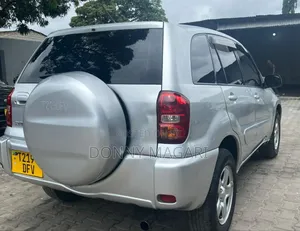 Toyota RAV4 2007 Silver