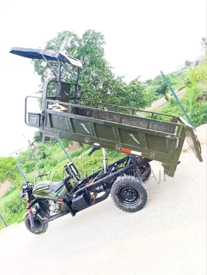 Bajaj Avenger 220 Cruise 2025 Green