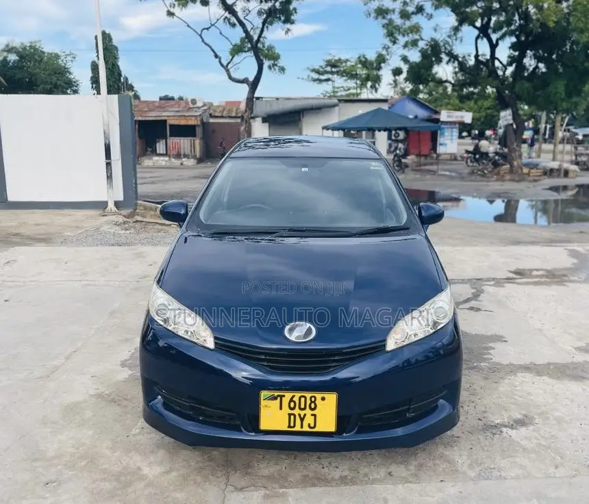 Toyota Wish 2009 Blue