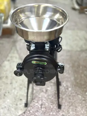 Electric Commercial Mill Grinder Machine (Dry and Wet)