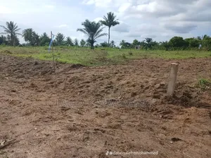 Viwanja Vinauzwa Chanika Dondwe