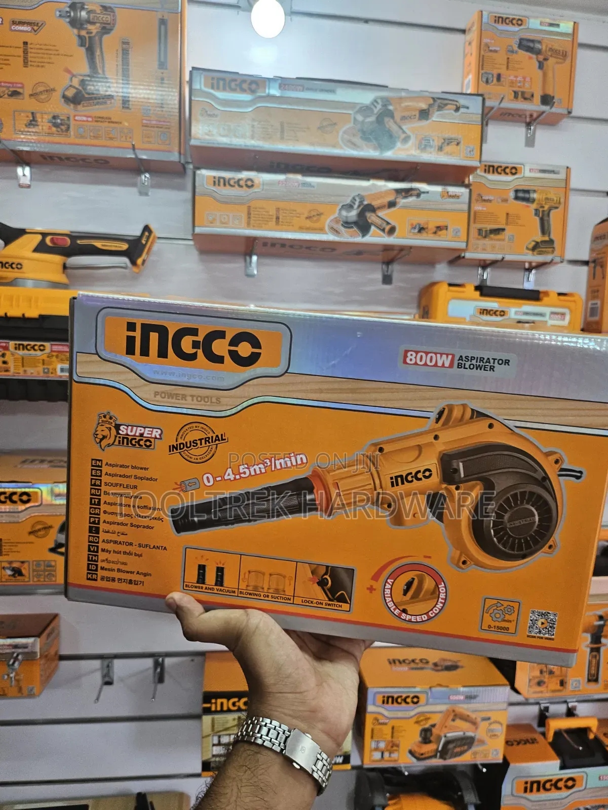 Ingco 800w Aspirator Blower.