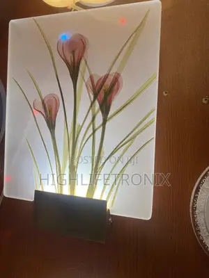 Taa Za Ukutani Za Kisasa (Decorative Wall Lights)
