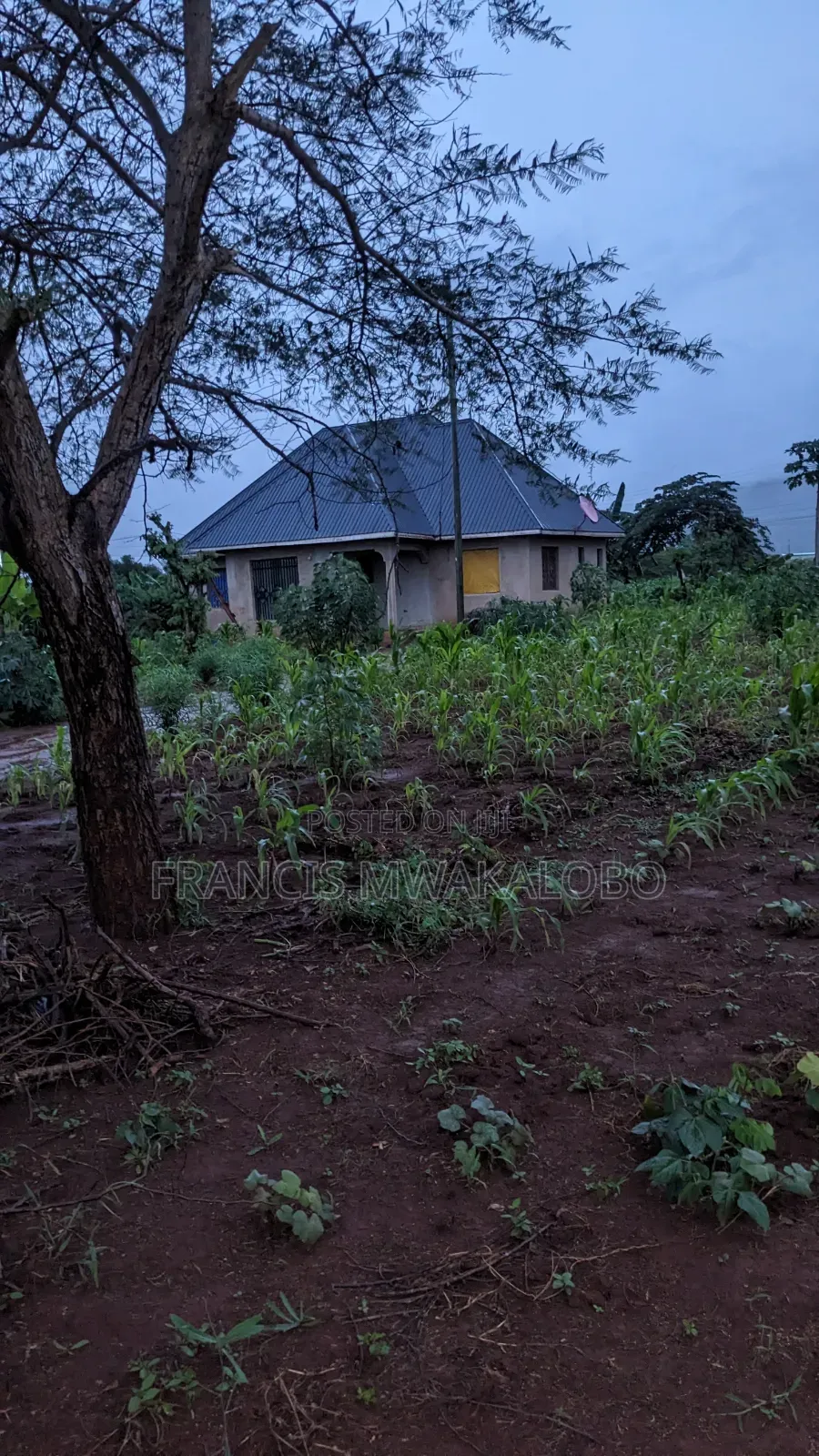 3bdrm House in Dalali Francis, Kingolwira for sale
