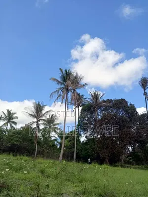 Eneo Linauzwa Mkuranga