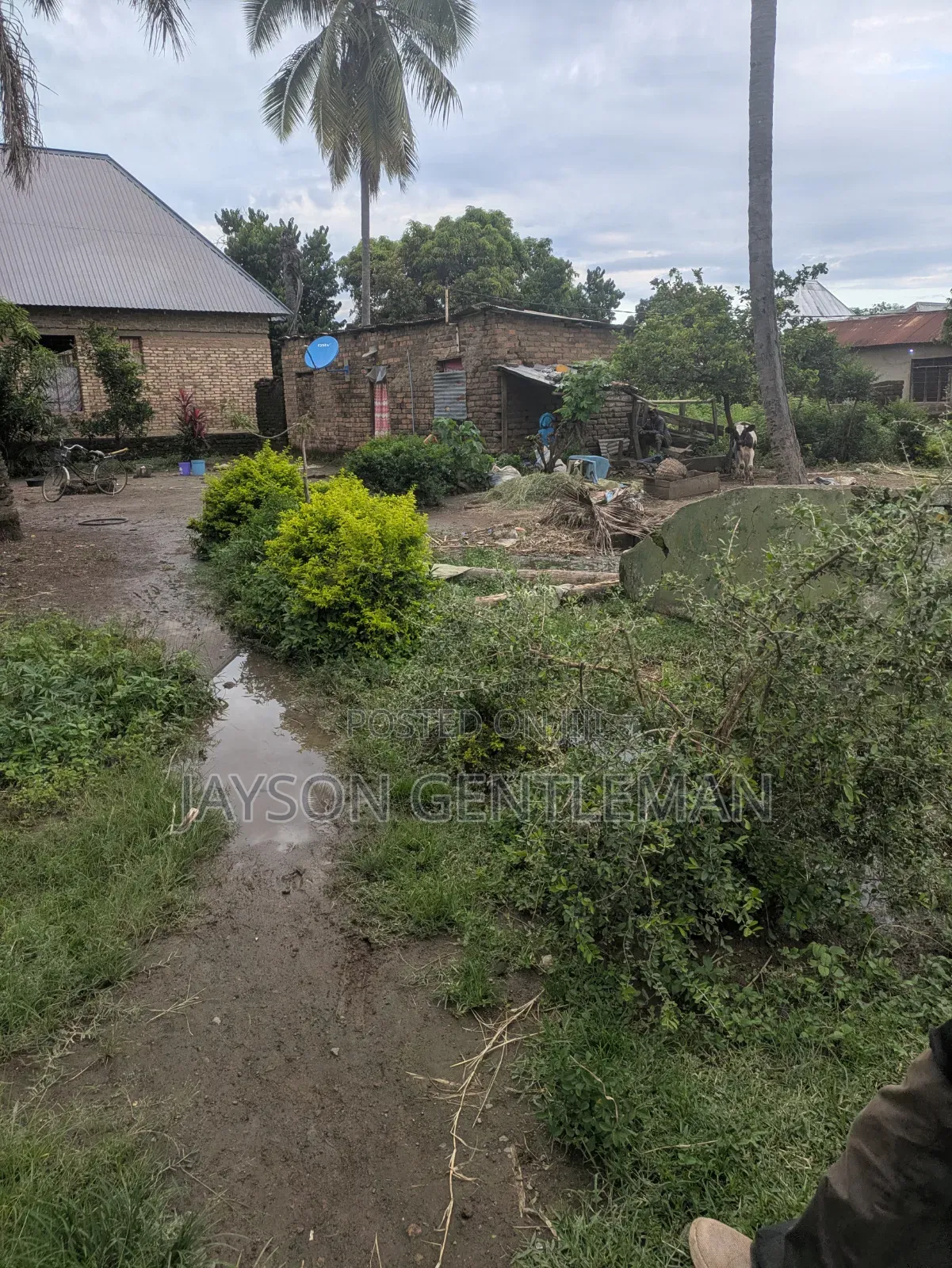 Kiwanja Kinauzwa Kyela Mjini