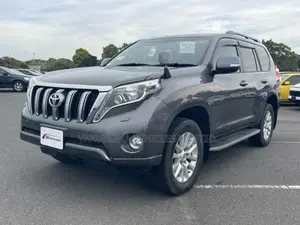 Toyota Land Cruiser Prado 2017 Gray