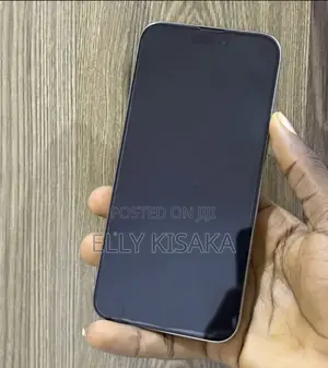 New Apple iPhone 15 Pro Max 256 GB Silver