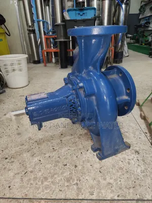 Pedrollo Surface Head Pump 25hp