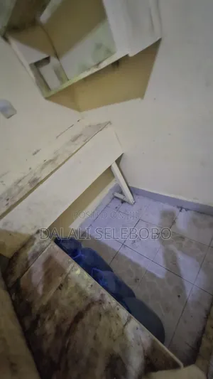 1bdrm Farm House in Ubungo Msewe, Kinondoni for rent