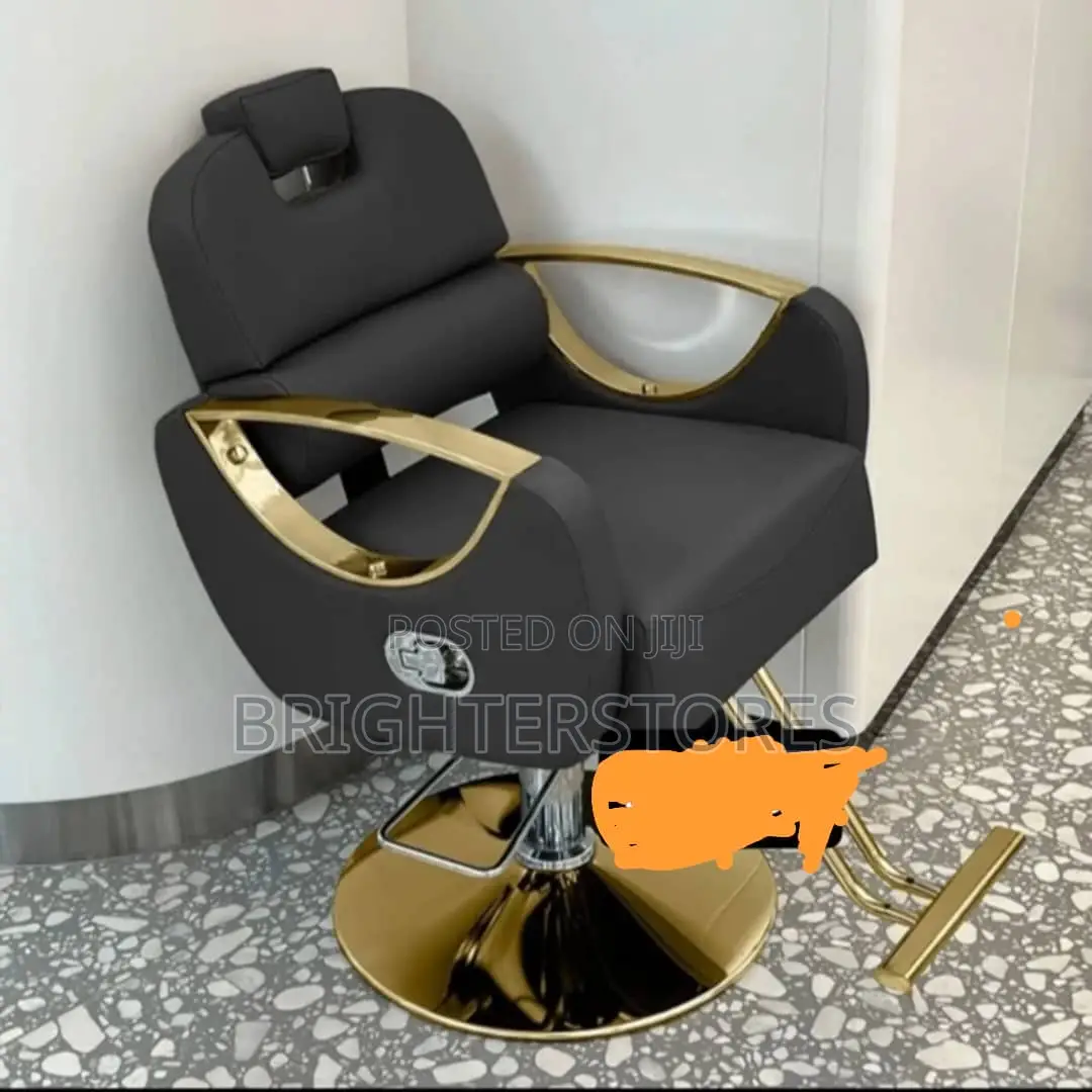 Salon Chair