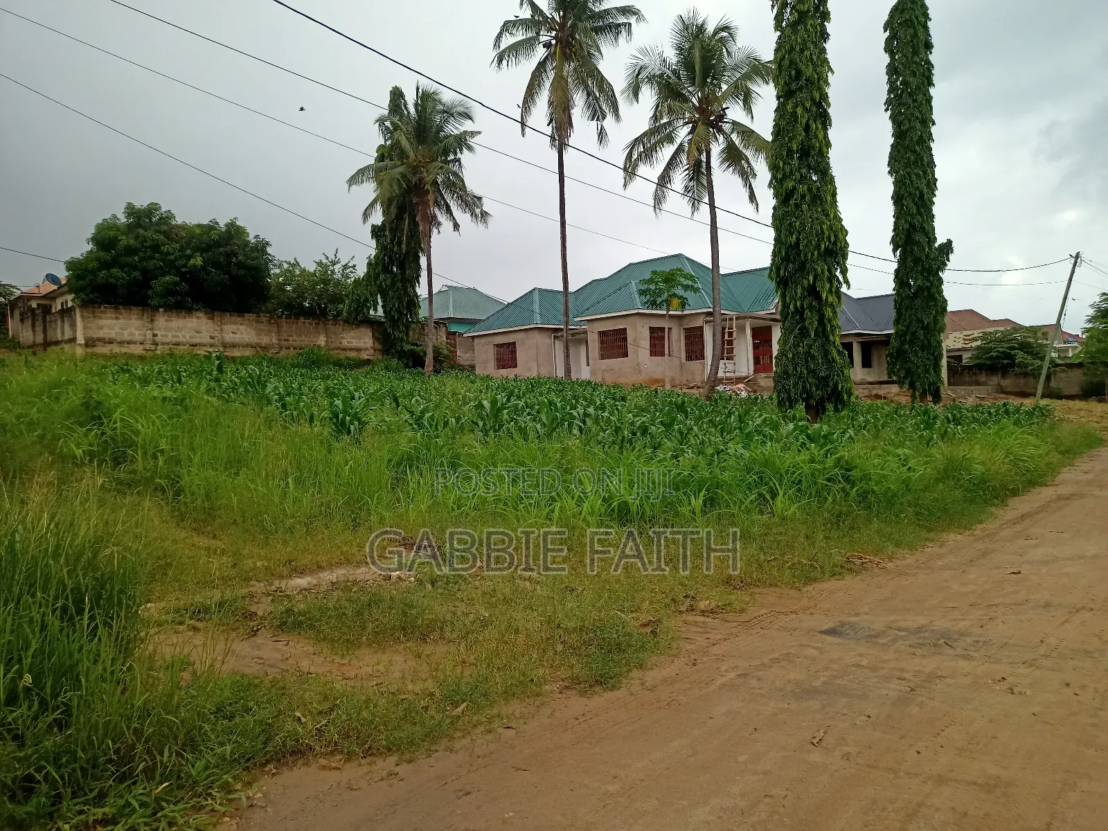 Plot for Sale