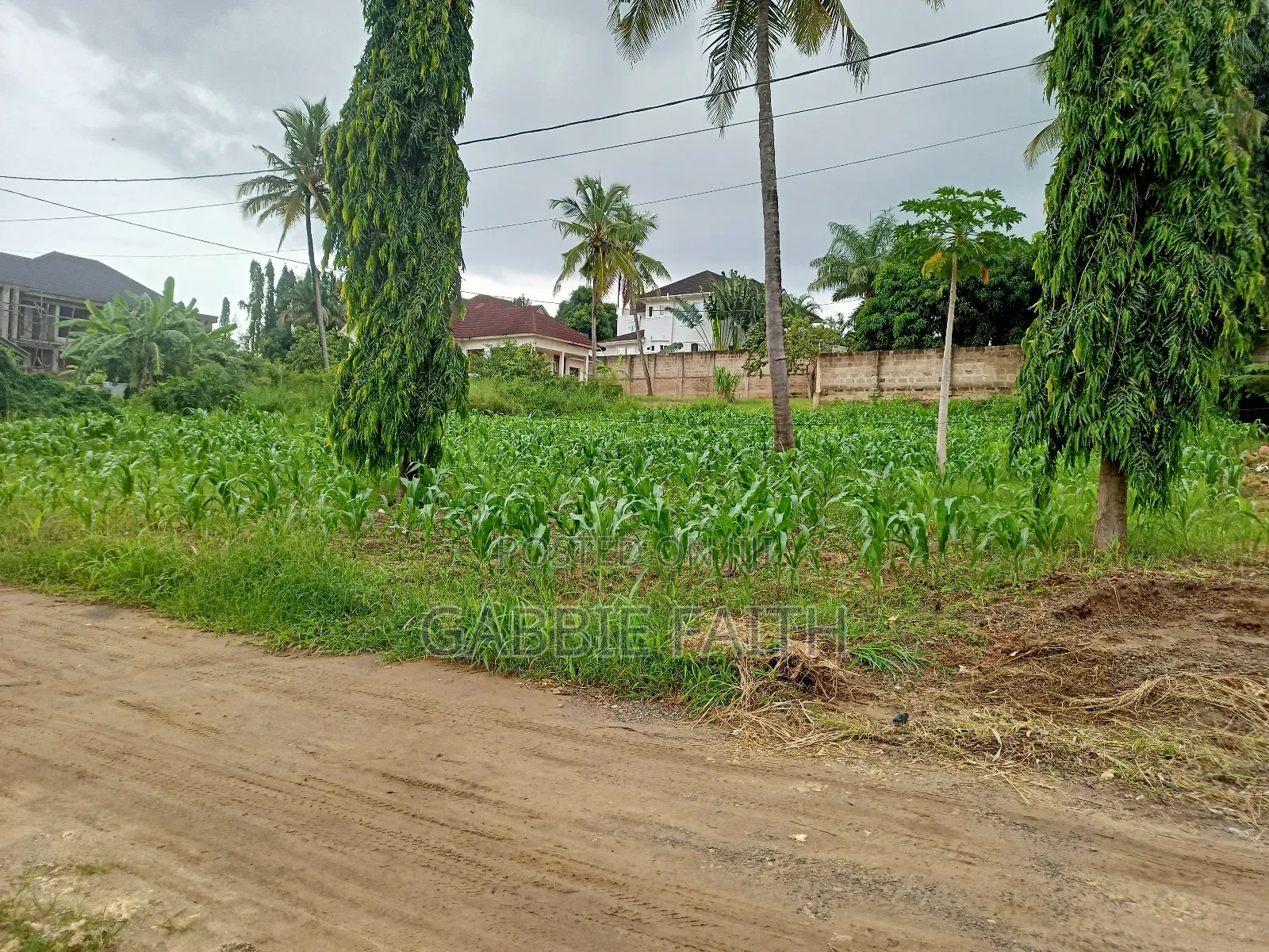 Plot for Sale