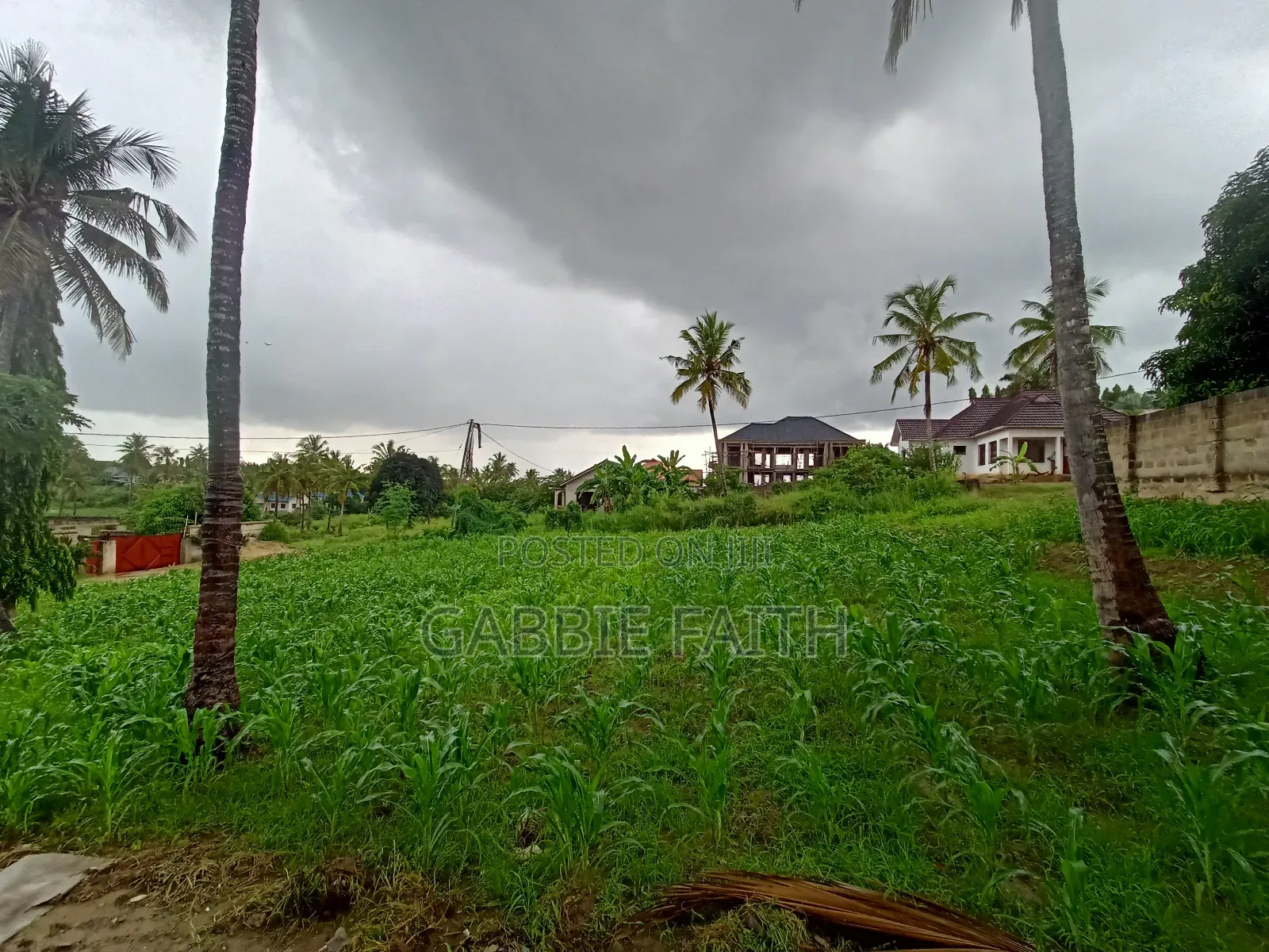 Plot for Sale