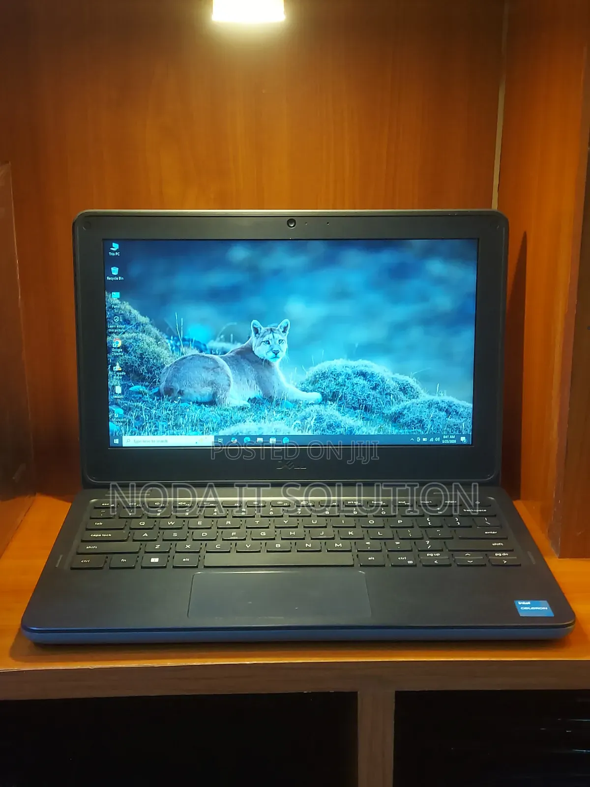 New Laptop Dell Latitude 3120 4GB Intel Celeron SSD 128GB