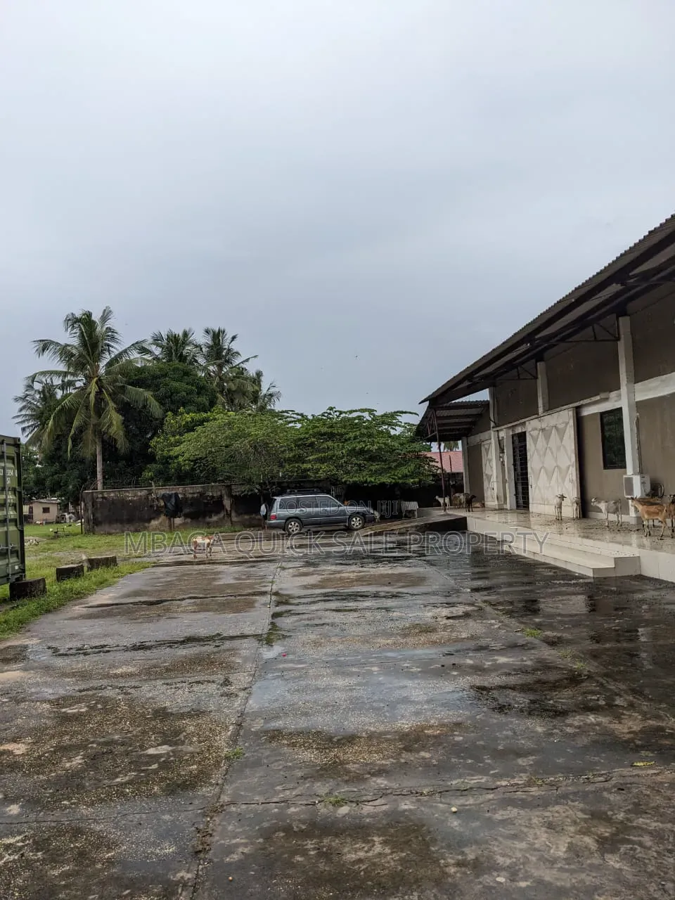 Godown and Office Area SQM 750 for Rent Usd 5 Per SQM Located at Sinza