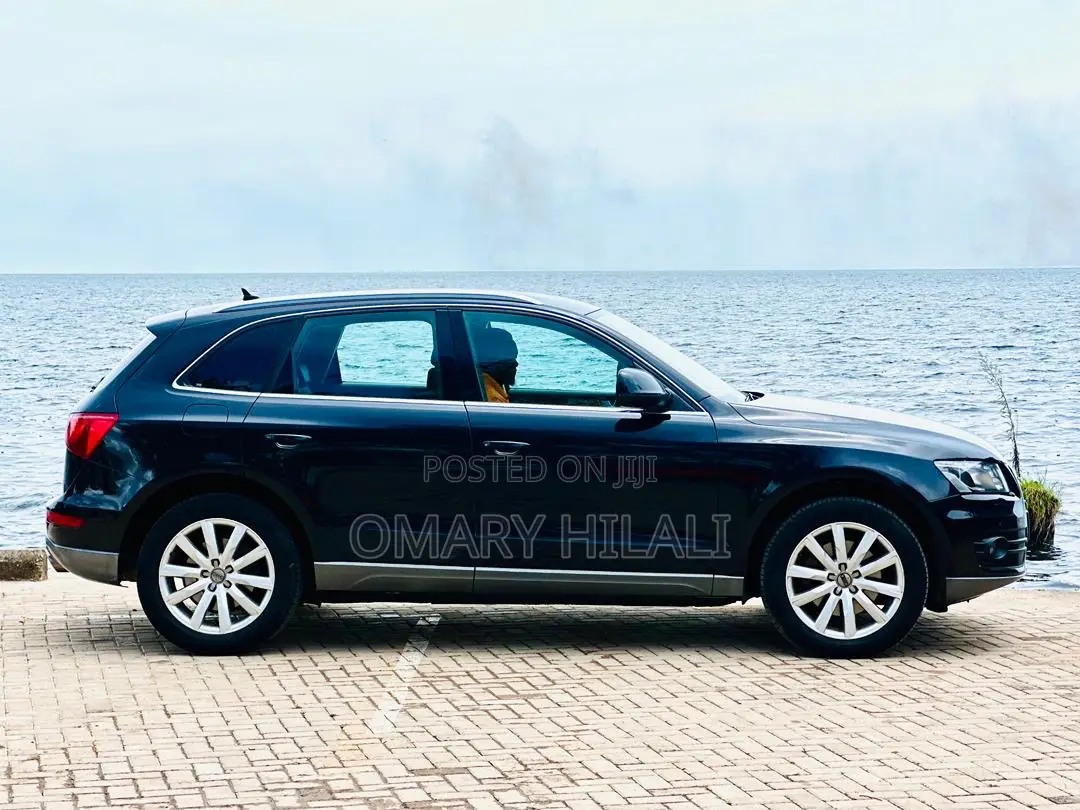 Audi Q5 2010 Black