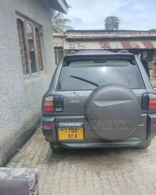 Toyota RAV4 Cabriolet 1998 Gray