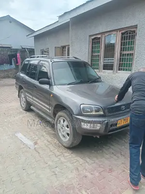 Toyota RAV4 Cabriolet 1998 Gray