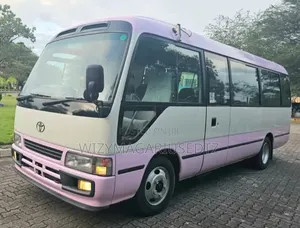 Toyota Coaster 2008 Pink