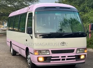 Toyota Coaster 2008 Pink