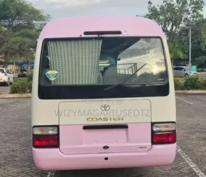 Toyota Coaster 2008 Pink