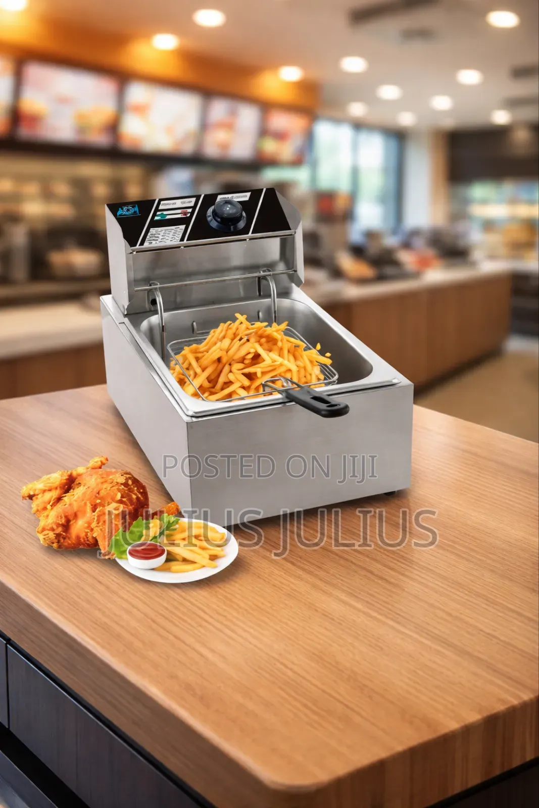 Single Deep Fryer