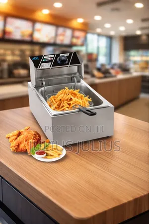 Single Deep Fryer